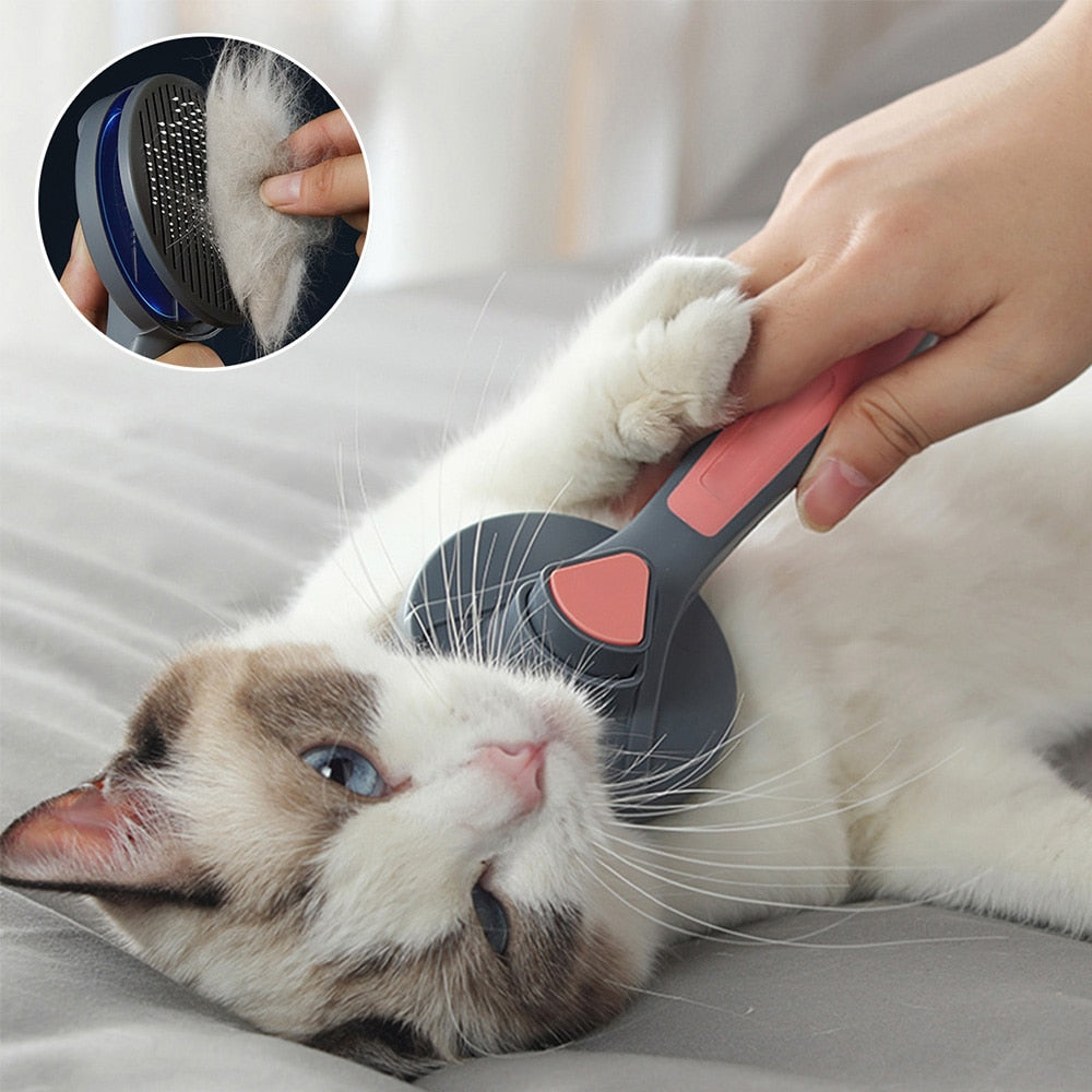 Benefits of brushing your cat