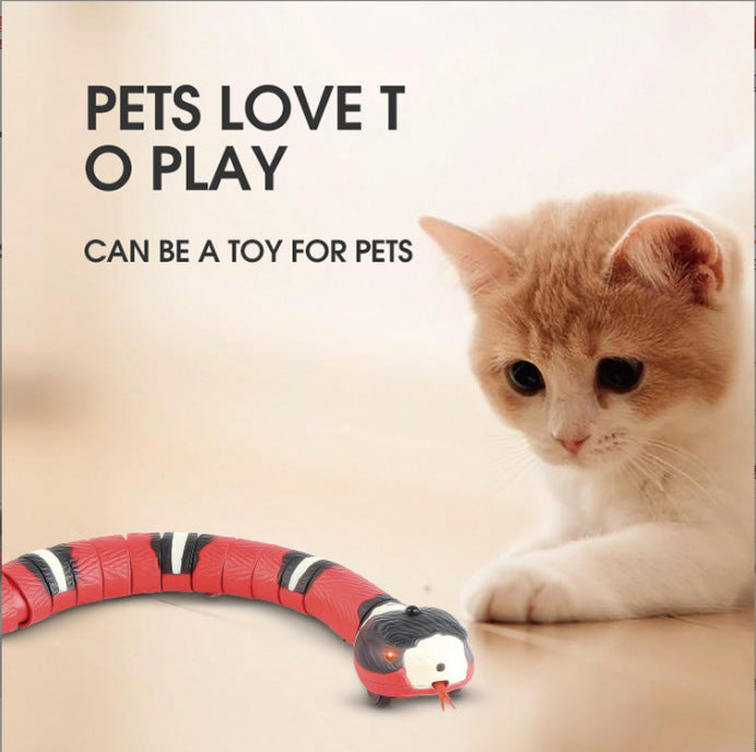 Motion Sensing Snake Cat Toy