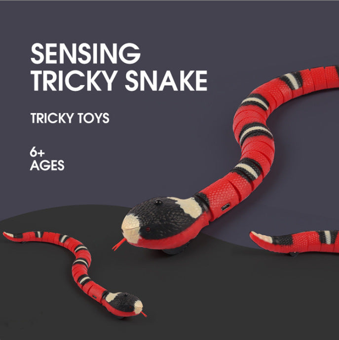 Motion Sensing Snake Cat Toy